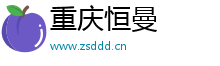 重庆恒曼网络信息咨询有限公司